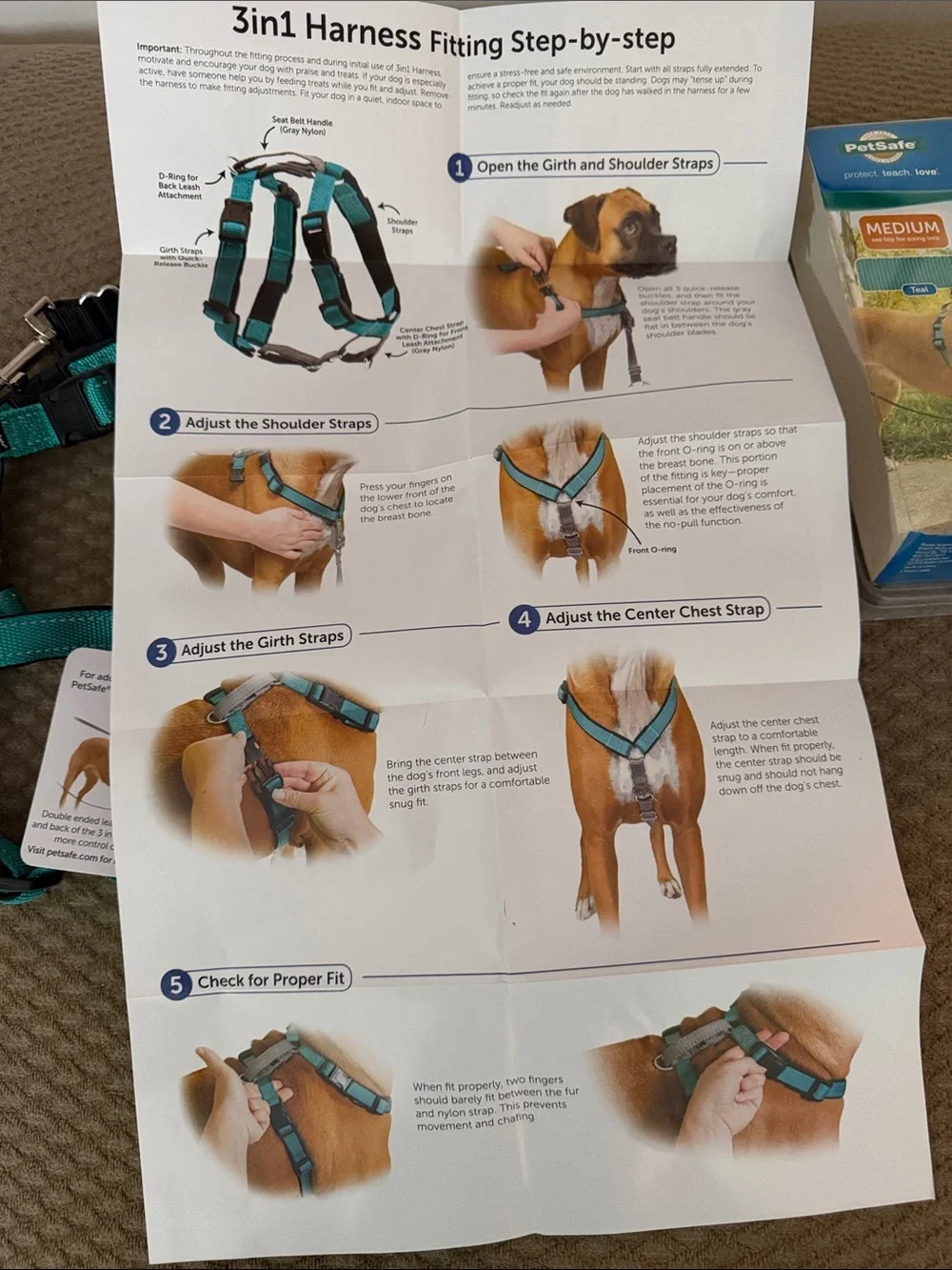 PetSafe Teal 3-in-1 Dog Harness - Medium